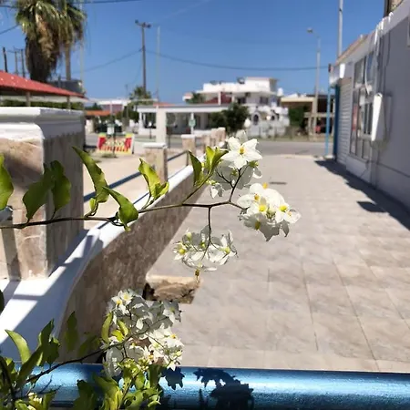 Chrysanthi's Apartment Faliraki