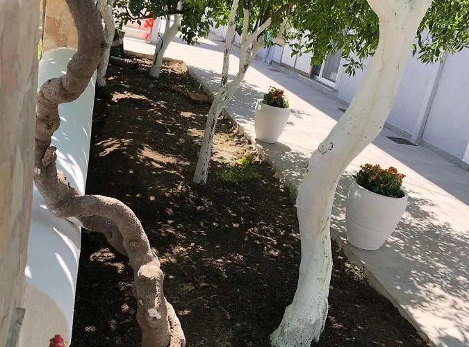 Apartmán Chrysanthi's *