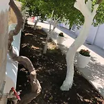 Διαμέρισμα Chrysanthi's *