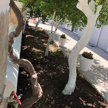 Apartament Chrysanthi's *